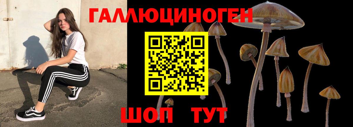 Псилоцибиновые грибы мухоморы Майский