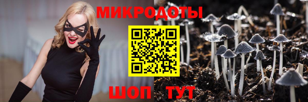 Псилоцибиновые грибы прущие грибы  Вход с VPN  Майский 